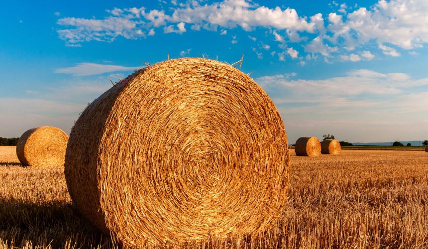 Roadmap to sustainable agriculture Roadmap to sustainable agriculture
